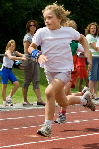 Klik op de foto om originele grootte te bekijken