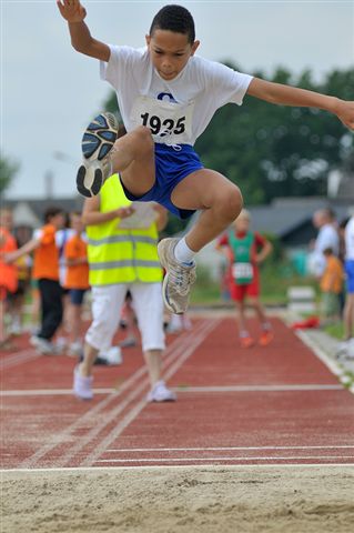Klik op de foto om originele grootte te bekijken