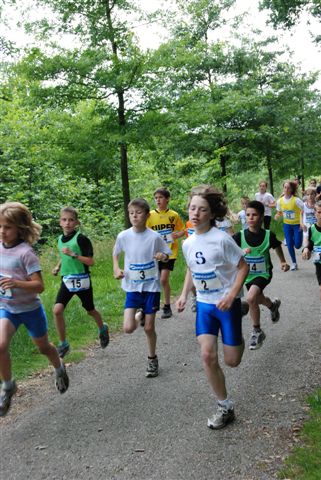 Klik op de foto om originele grootte te bekijken