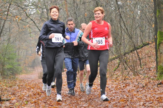 Klik op de foto om originele grootte te bekijken