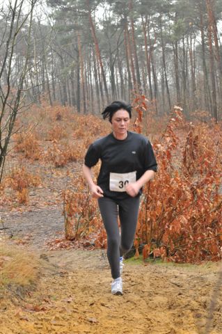 Klik op de foto om originele grootte te bekijken