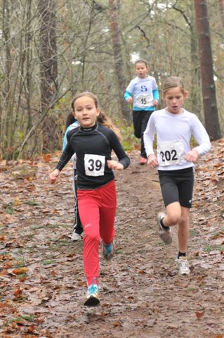 Klik op de foto om originele grootte te bekijken