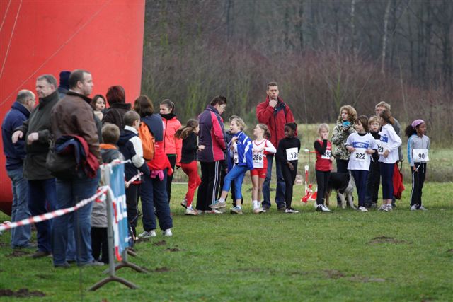 Klik op de foto om originele grootte te bekijken