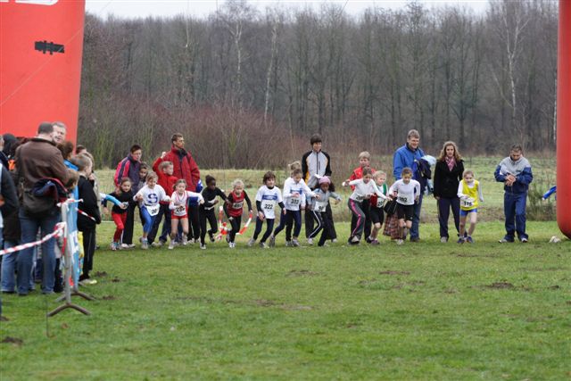Klik op de foto om originele grootte te bekijken
