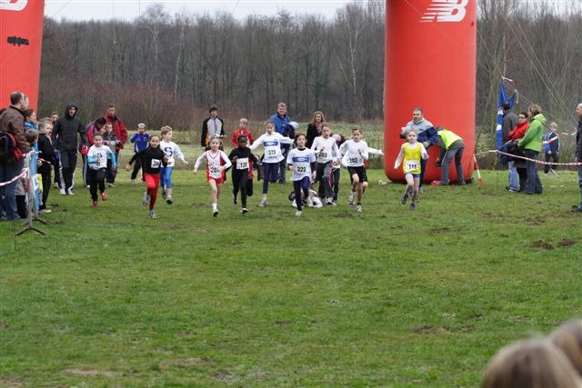 Klik op de foto om originele grootte te bekijken