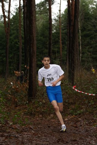 Klik op de foto om originele grootte te bekijken