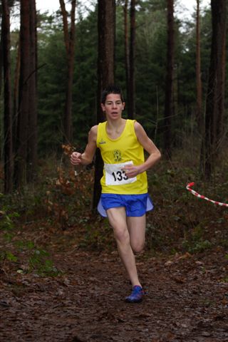 Klik op de foto om originele grootte te bekijken