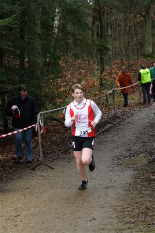 Klik op de foto om originele grootte te bekijken