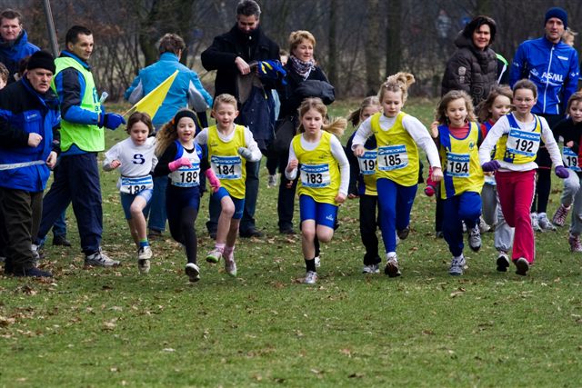 Klik op de foto om originele grootte te bekijken