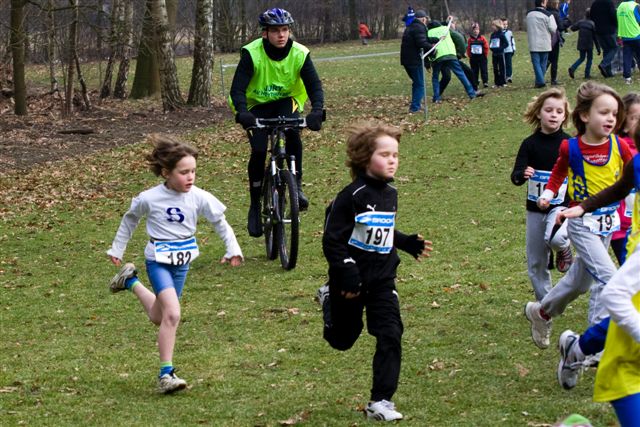 Klik op de foto om originele grootte te bekijken