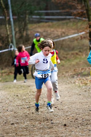 Klik op de foto om originele grootte te bekijken