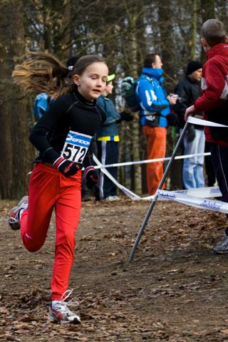 Klik op de foto om originele grootte te bekijken