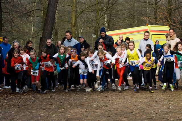 Klik op de foto om originele grootte te bekijken