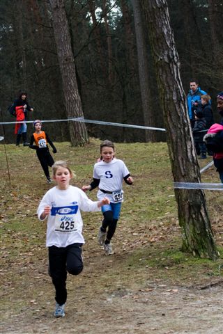 Klik op de foto om originele grootte te bekijken