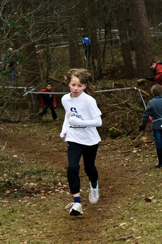 Klik op de foto om originele grootte te bekijken