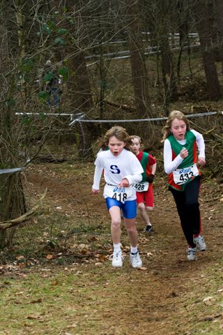 Klik op de foto om originele grootte te bekijken