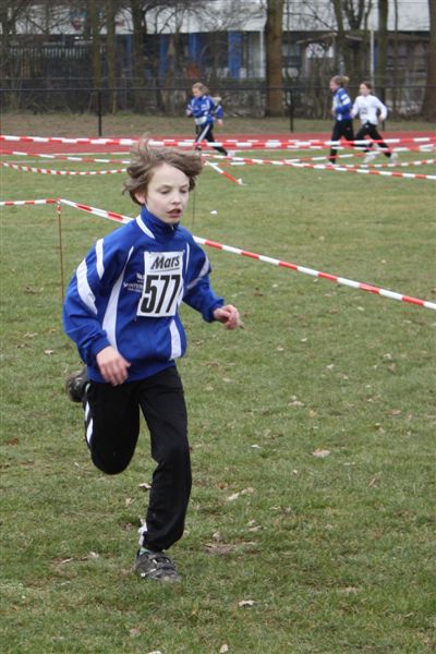 Klik op de foto om originele grootte te bekijken