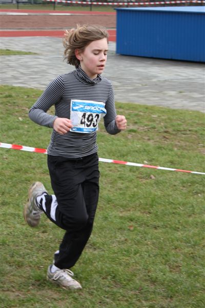 Klik op de foto om originele grootte te bekijken