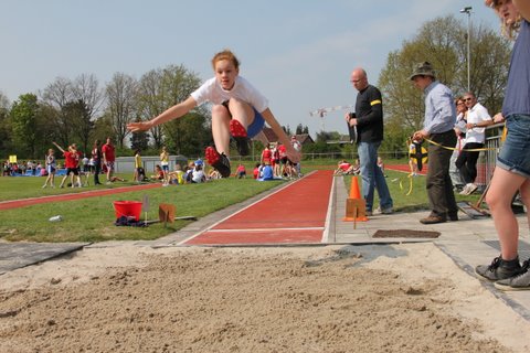 Klik op de foto om originele grootte te bekijken