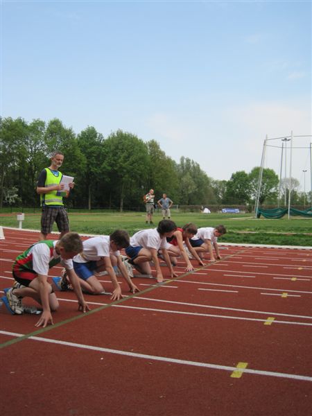 Klik op de foto om originele grootte te bekijken