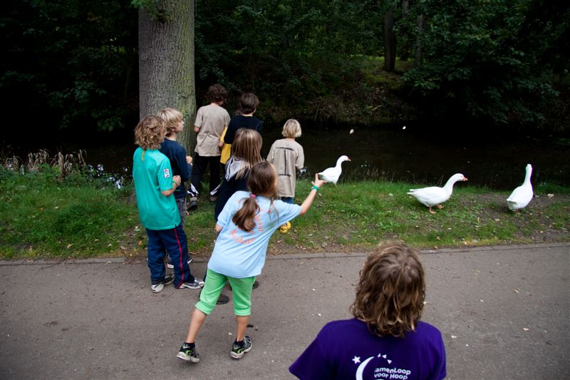 Klik op de foto om originele grootte te bekijken