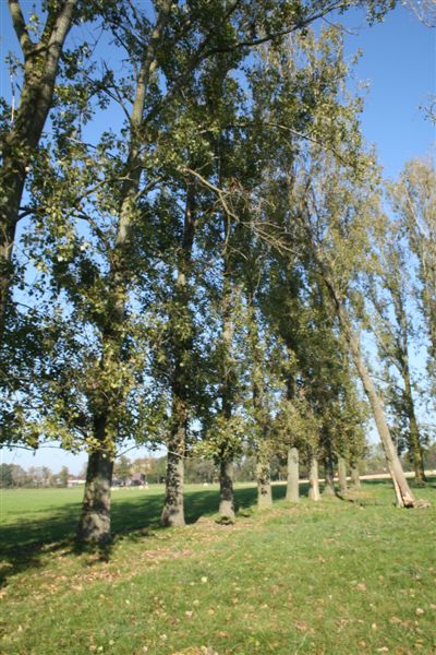 Klik op de foto om originele grootte te bekijken