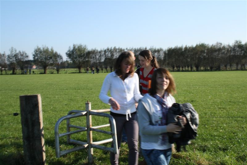 Klik op de foto om originele grootte te bekijken