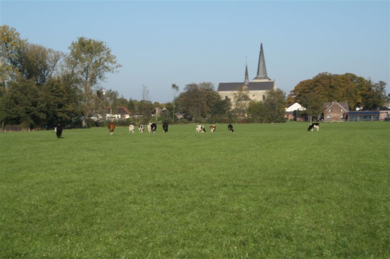 Klik op de foto om originele grootte te bekijken