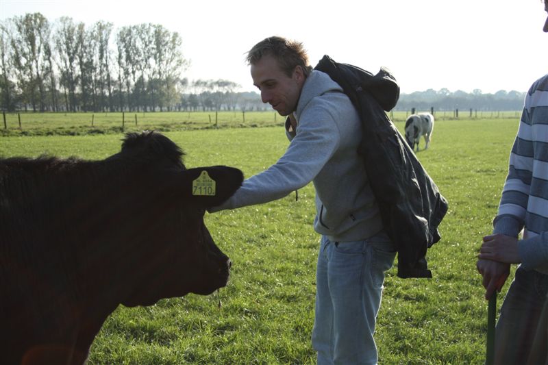 Klik op de foto om originele grootte te bekijken