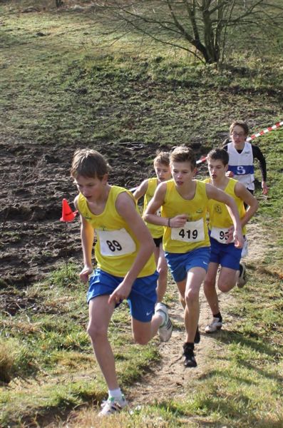 Klik op de foto om originele grootte te bekijken