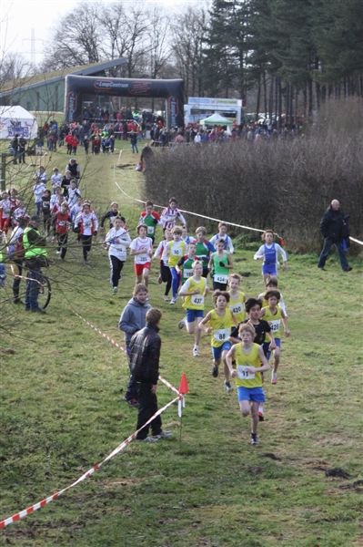 Klik op de foto om originele grootte te bekijken