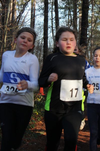 Klik op de foto om originele grootte te bekijken