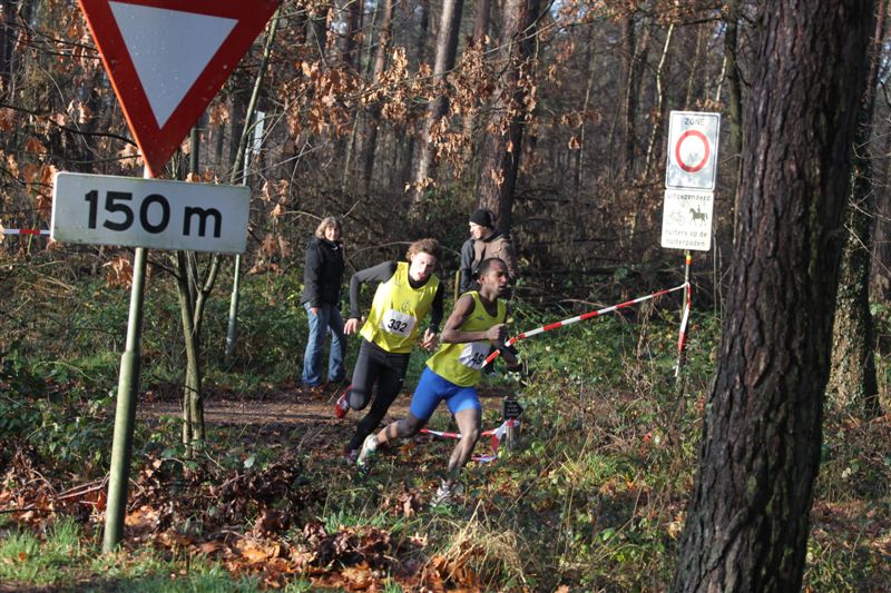 Klik op de foto om originele grootte te bekijken