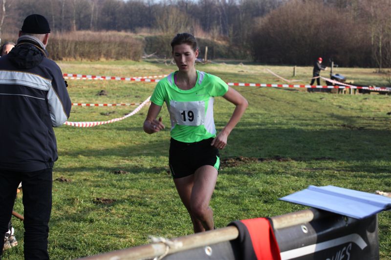 Klik op de foto om originele grootte te bekijken