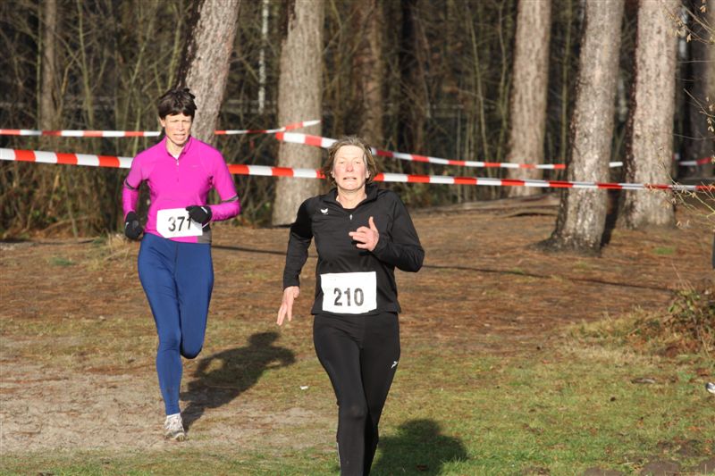 Klik op de foto om originele grootte te bekijken