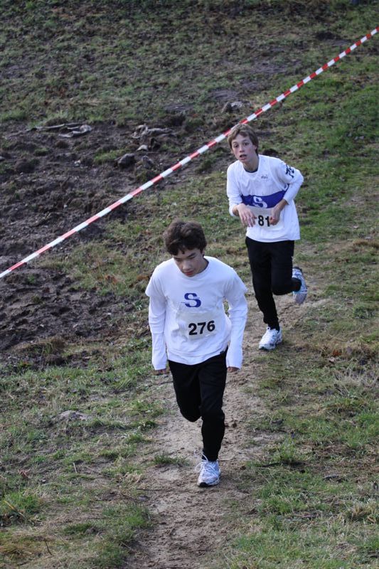 Klik op de foto om originele grootte te bekijken