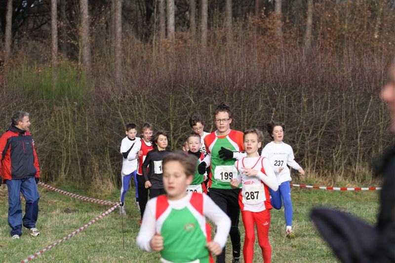 Klik op de foto om originele grootte te bekijken