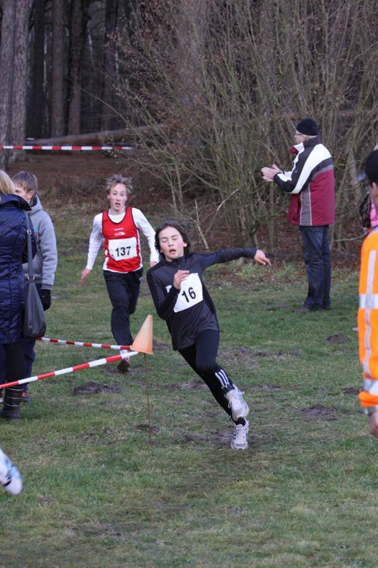 Klik op de foto om originele grootte te bekijken