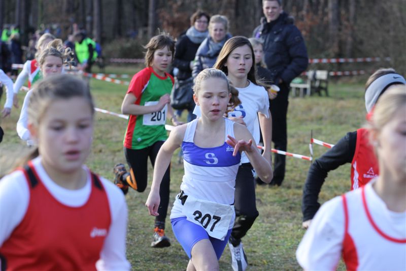 Klik op de foto om originele grootte te bekijken