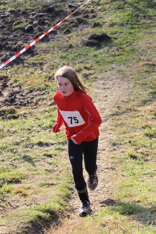 Klik op de foto om originele grootte te bekijken