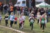 IMG_7743.JPG