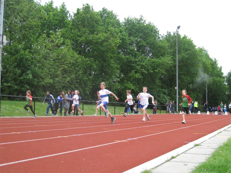 Klik op de foto om originele grootte te bekijken