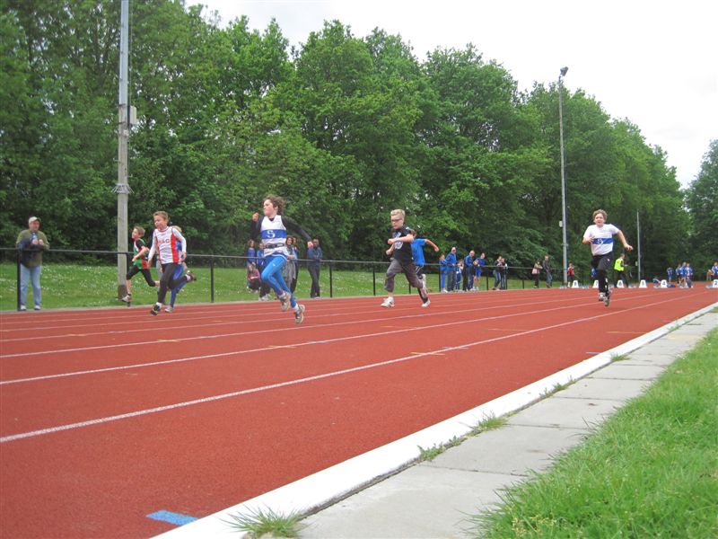 Klik op de foto om originele grootte te bekijken