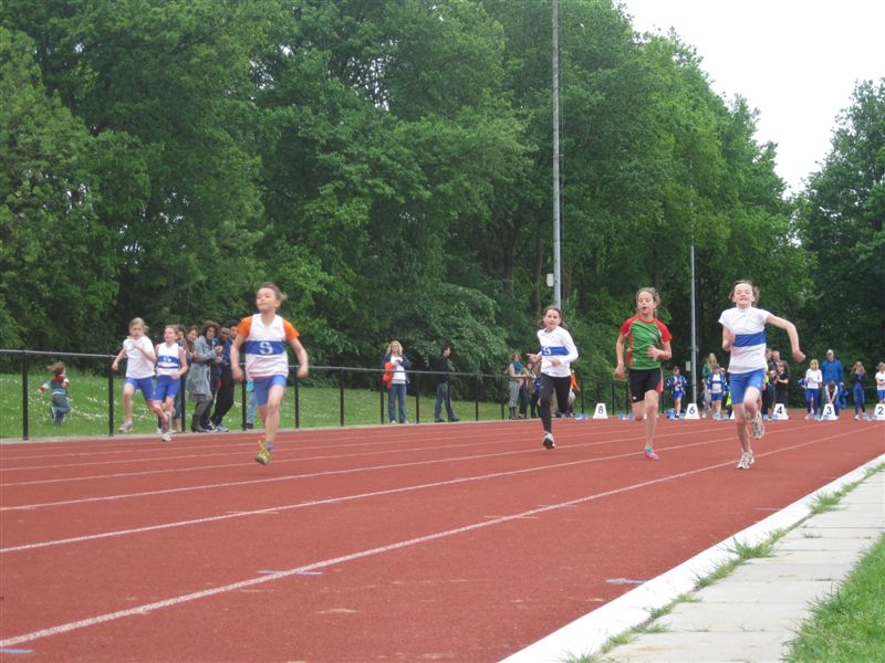 Klik op de foto om originele grootte te bekijken