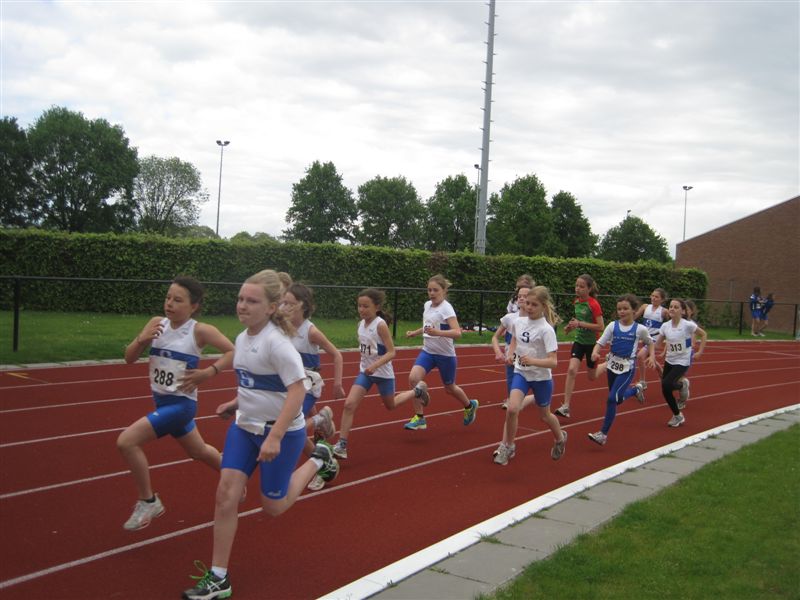 Klik op de foto om originele grootte te bekijken