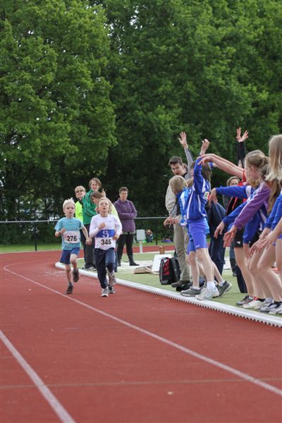 Klik op de foto om originele grootte te bekijken