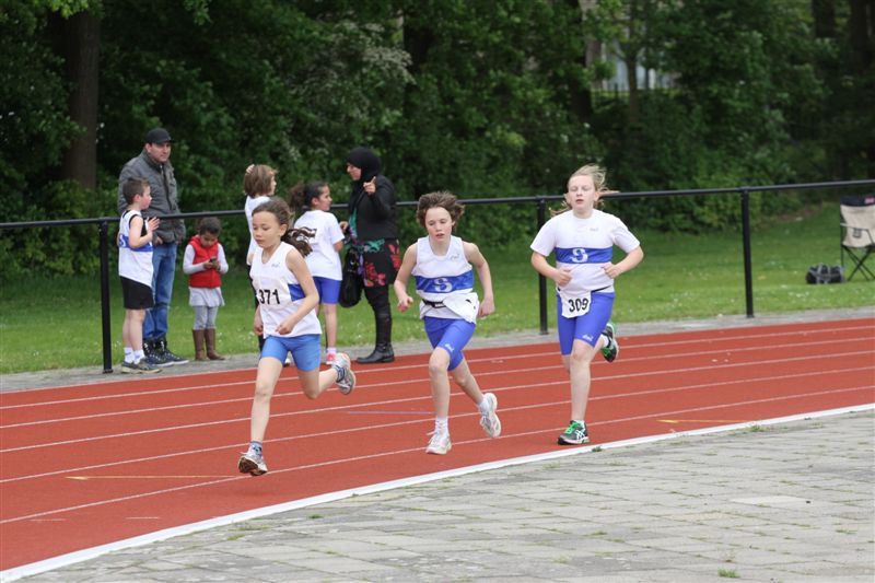 Klik op de foto om originele grootte te bekijken