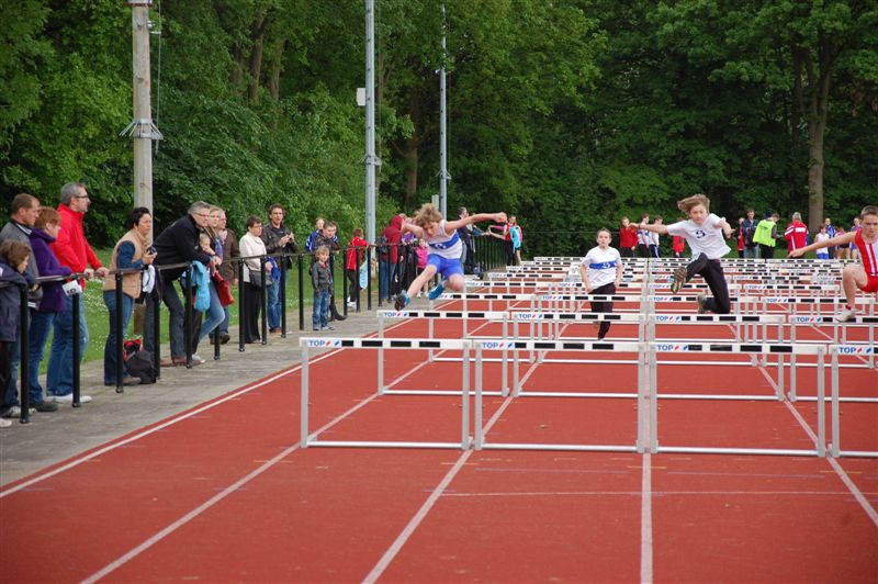 Klik op de foto om originele grootte te bekijken