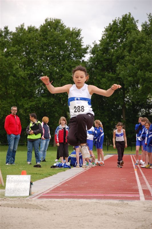 Klik op de foto om originele grootte te bekijken