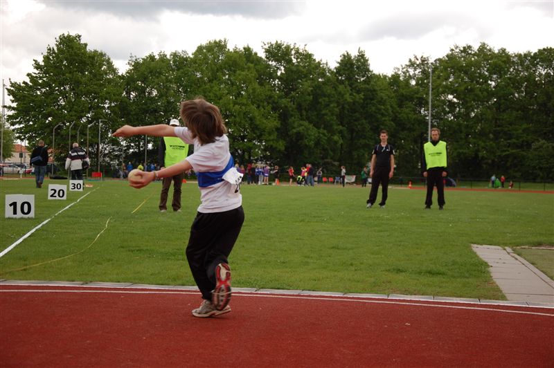 Klik op de foto om originele grootte te bekijken